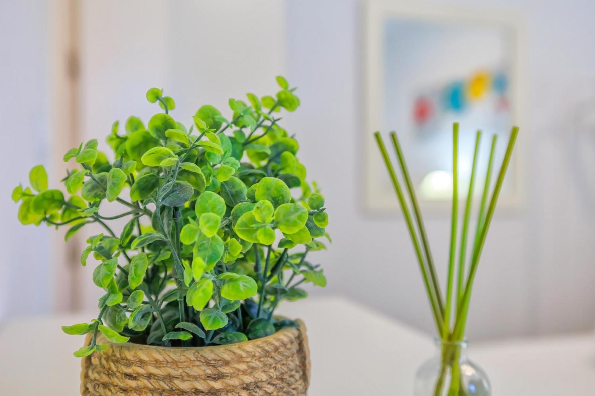 Altillo Sweet Home & Parking Incluido Kordoba Zewnętrze zdjęcie