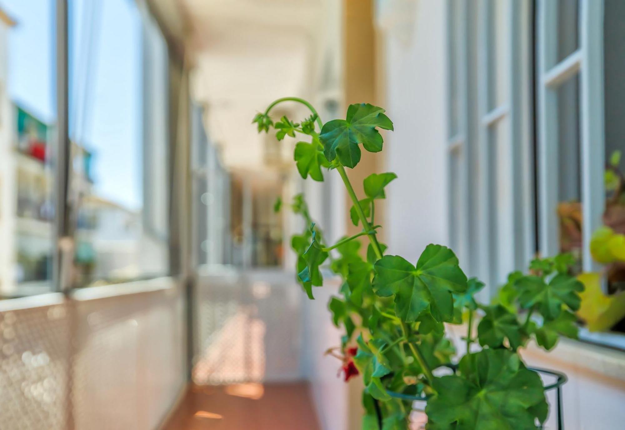 Altillo Sweet Home & Parking Incluido Kordoba Zewnętrze zdjęcie
